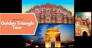 Golden Triangle Tour Package