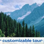 kashmir customizable tour package